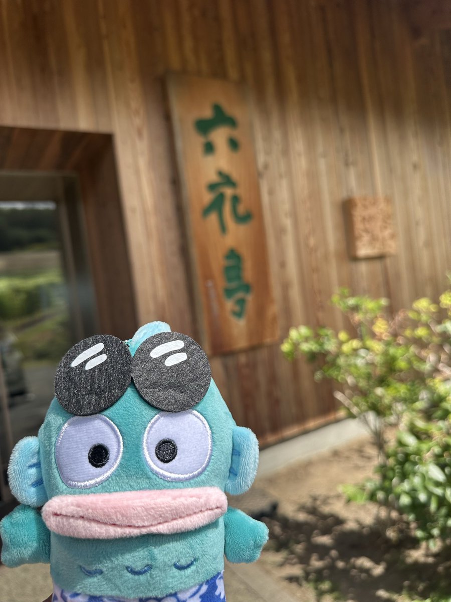 seira0011's tweet photo. 富良野満喫中のハンギョドンくん https://t.co/oxKOiwTEBH