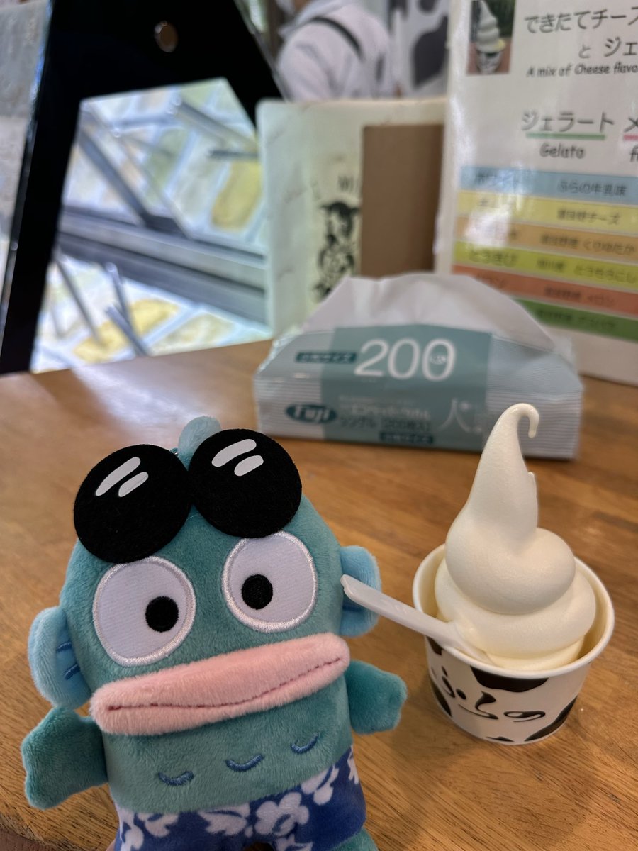 seira0011's tweet photo. 富良野満喫中のハンギョドンくん https://t.co/oxKOiwTEBH