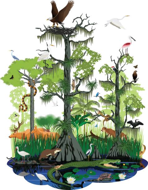 harmonenjacobiu's tweet photo. 森の新緑に猫🐱🌲 https://t.co/VBnVttlnV9