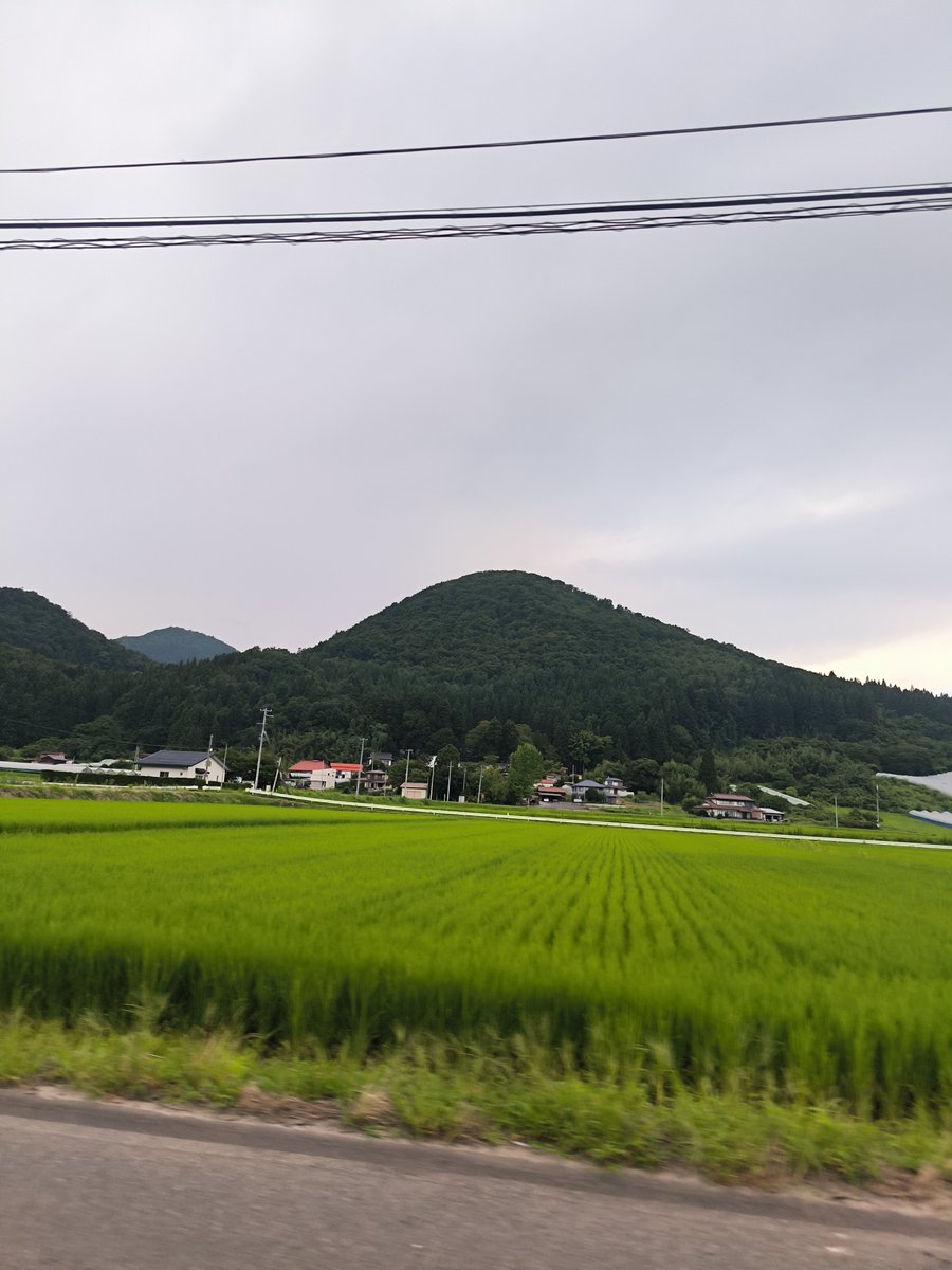 Pokubi1126's tweet photo. 山ぁぁぁぁああああああ https://t.co/DwLLBupOGu