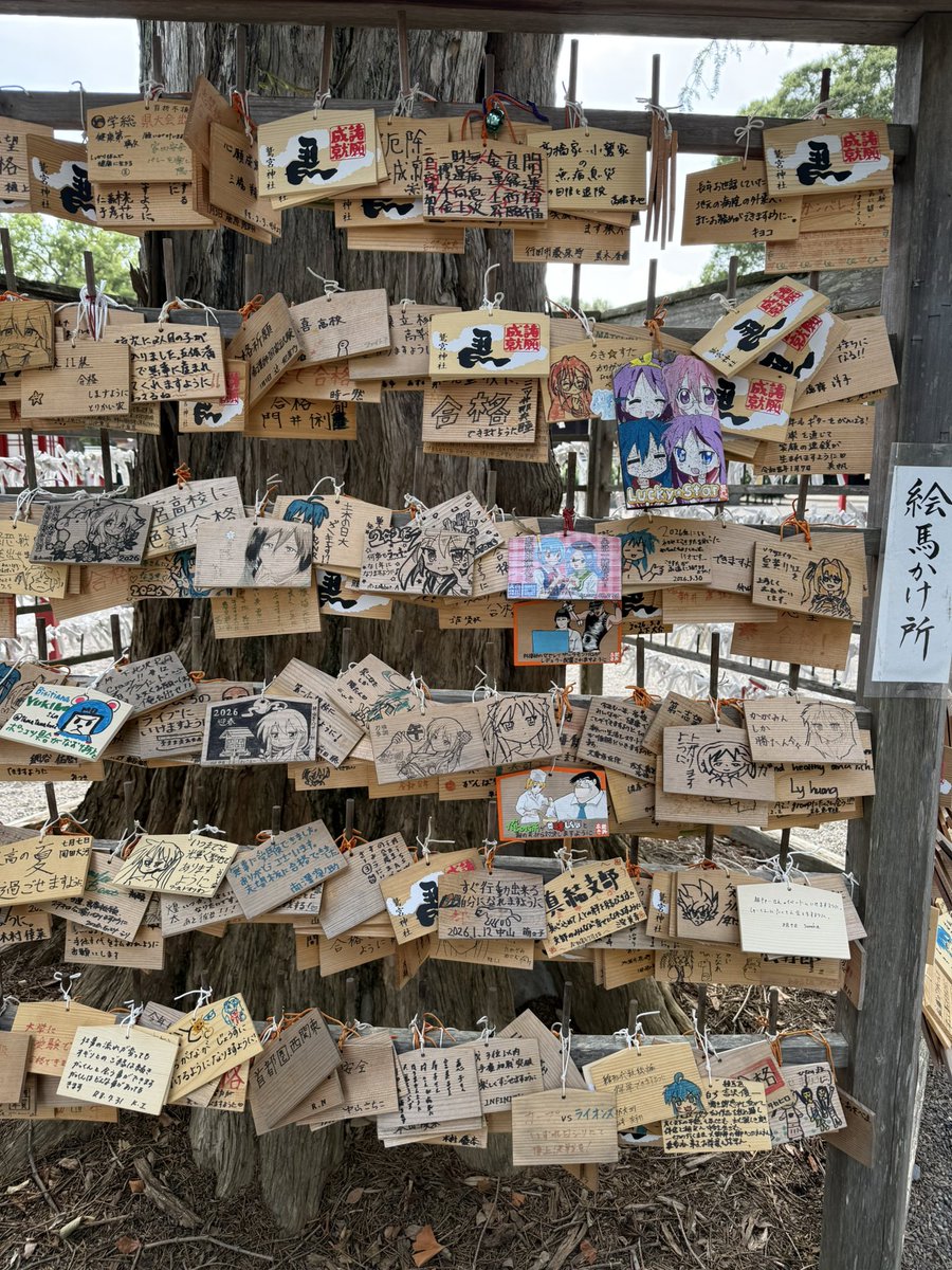 puriketsu_perry's tweet photo. ジムのすぐ近くだったから鷲宮神社に来てみた。これで僕もその域に達することができるかな https://t.co/bw90bxBU40