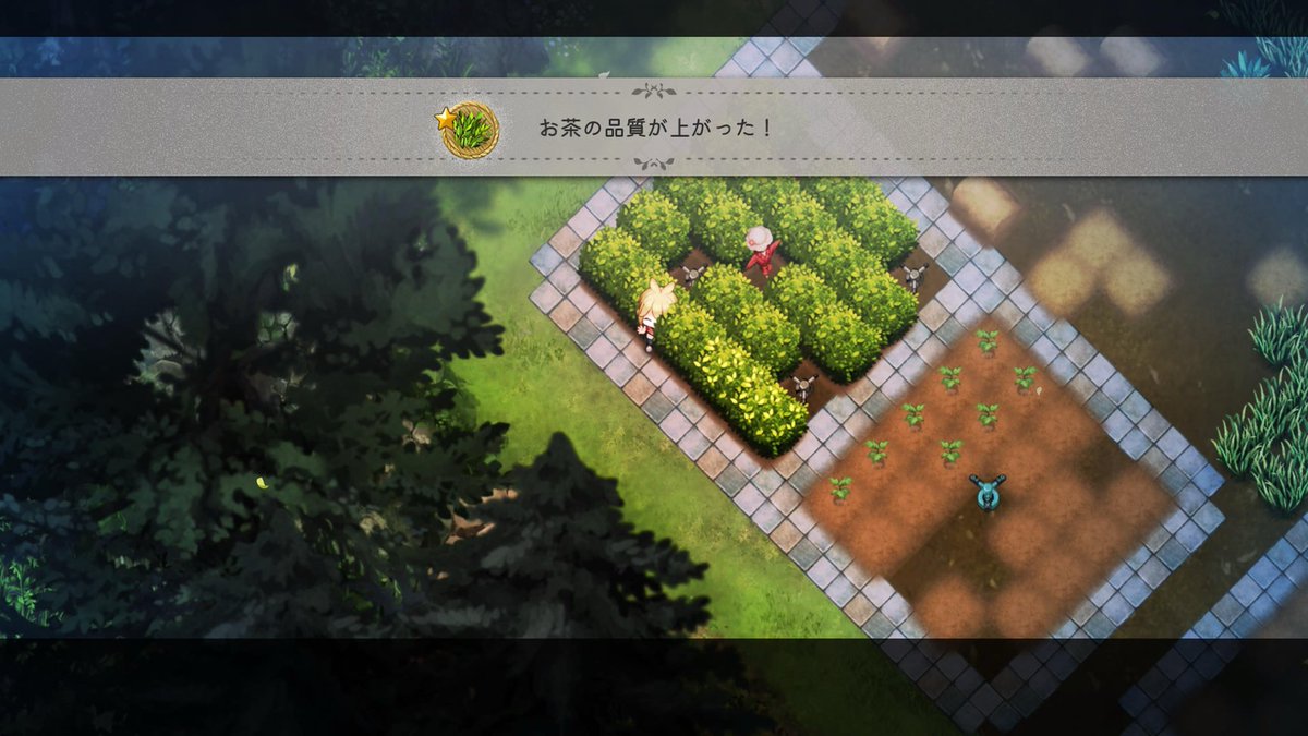 chassespleen1's tweet photo. #ほの暮しの庭
お茶は600個で金になります
32本のお茶の木植えれば1ヶ月で品評会まで間に合います
。。。私は雑草の侵食を許していくつか木が消えたので間に合わず、カカシで延長戦しましたが。。。 https://t.co/c0YwhU92Hn