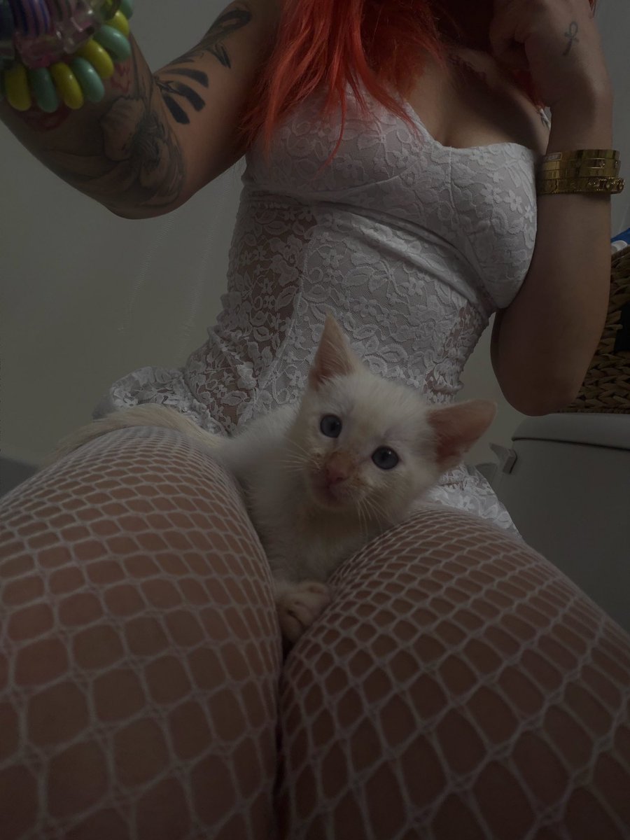 w33db3an's tweet photo. meowww🐱 https://t.co/kIqc0gexkW