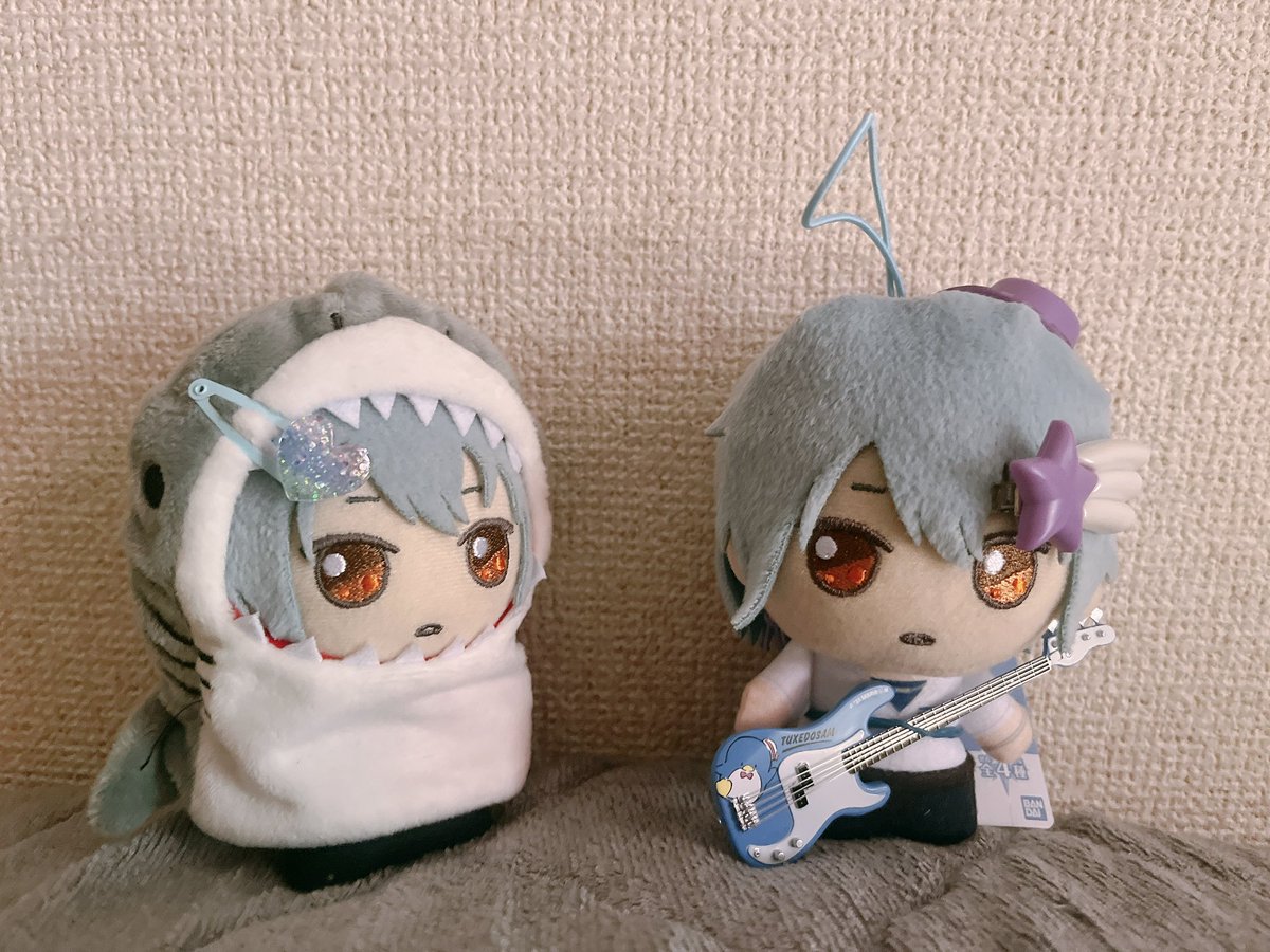 manukawaii_nui's tweet photo. 新人、すごいな https://t.co/QeMUSbAa64