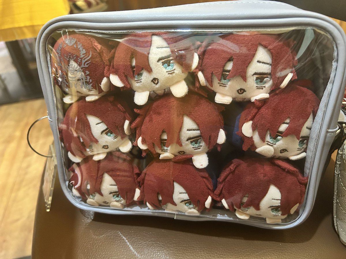haru33213's tweet photo. イオンのもちミチミチポーチがあれば9もちまで追加できますのよ！
(1もち出し忘れてた) https://t.co/Qo1EPherBK