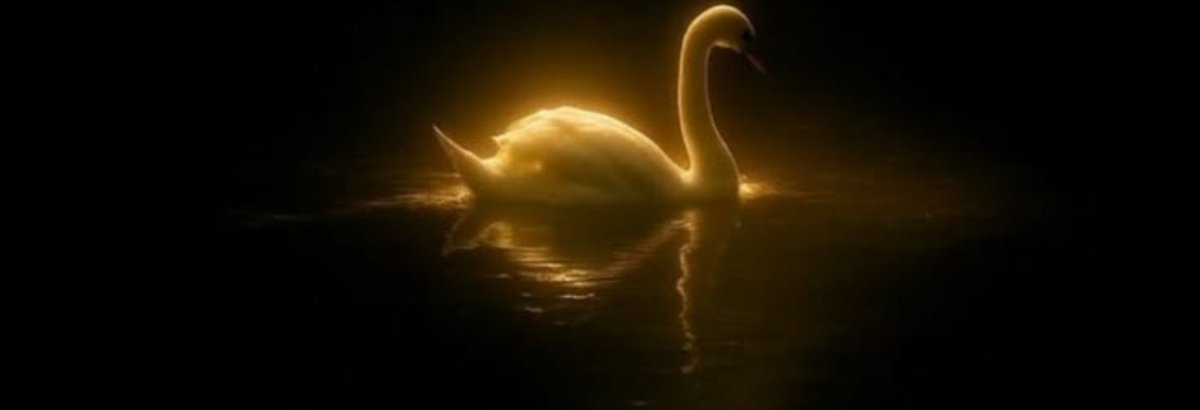 b_ziiii's tweet photo. 𝘛𝘩𝘦 𝘣𝘦𝘴𝘵 𝘪𝘯𝘷𝘦𝘴𝘵𝘮𝘦𝘯𝘵 𝘪𝘴 𝘵𝘩𝘦 𝘰𝘯𝘦 𝘺𝘰𝘶 𝘮𝘢𝘬𝘦 𝘧𝘰𝘳 𝘺𝘰𝘶𝘳 𝘈𝘬𝘩𝘪𝘳𝘢𝘩. https://t.co/rlr9KdgcYI