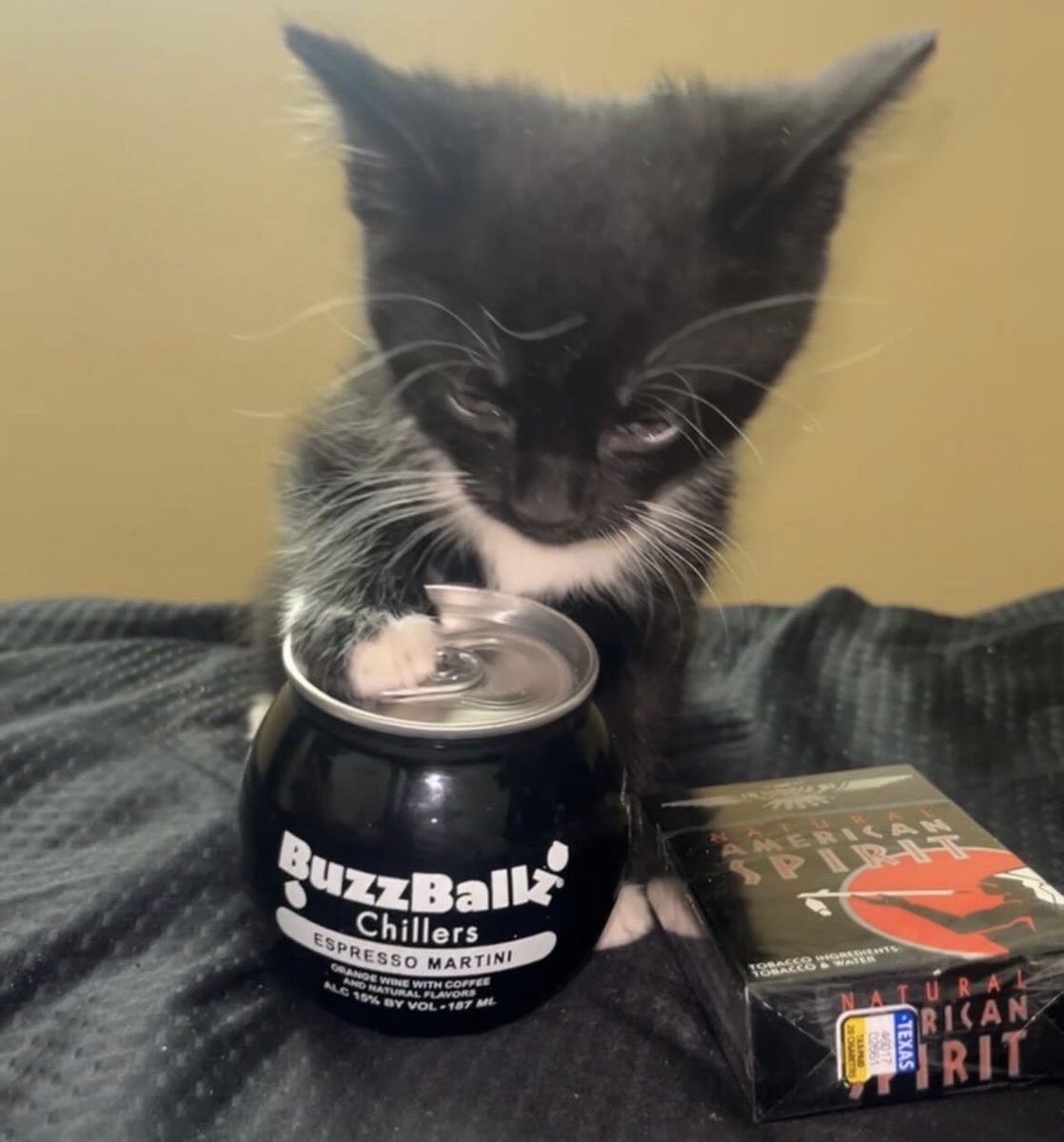 VeylVT's tweet photo. Thank you to everyone who popped out tonight, we will be getting that daily streamer badge back asap 🎴🍷 https://t.co/quPj3gKCEa