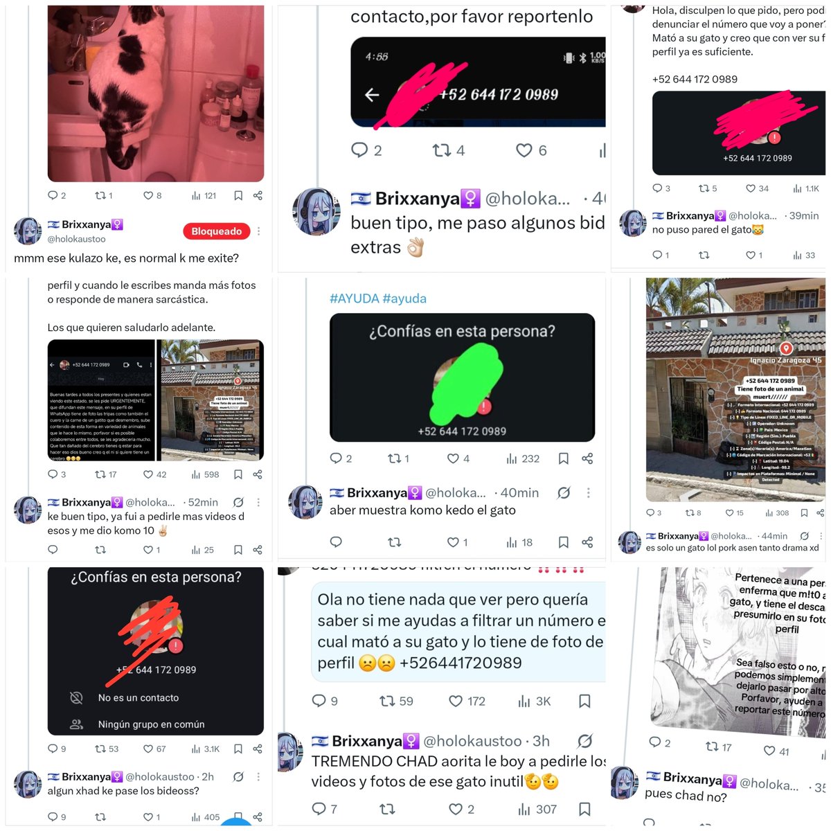 heyaluhe's tweet photo. Por cierto, expongo también a la edgy de @/holokaustoo. Verán en las fotos sus burlas al tema, COMENTARIOS PEDÓFILOS y su DECLARACIÓN DE MALTRATO ANIMAL 

Hay más en su Twitter. vean antes que elimine o algo https://t.co/zN00TTeClv