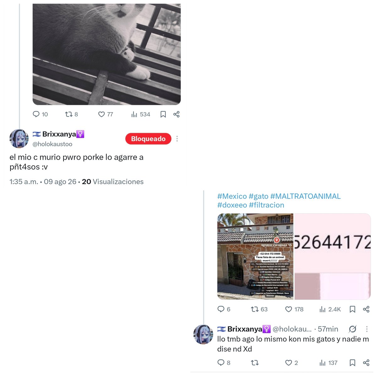 heyaluhe's tweet photo. Por cierto, expongo también a la edgy de @/holokaustoo. Verán en las fotos sus burlas al tema, COMENTARIOS PEDÓFILOS y su DECLARACIÓN DE MALTRATO ANIMAL 

Hay más en su Twitter. vean antes que elimine o algo https://t.co/zN00TTeClv