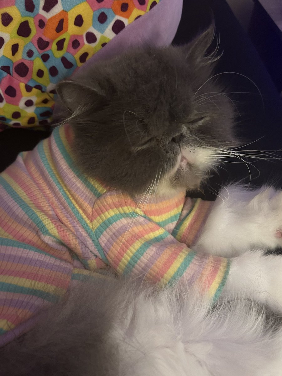 Dimmoiselle's tweet photo. @ricehatph He would have so much to say https://t.co/f9RRt0JalV