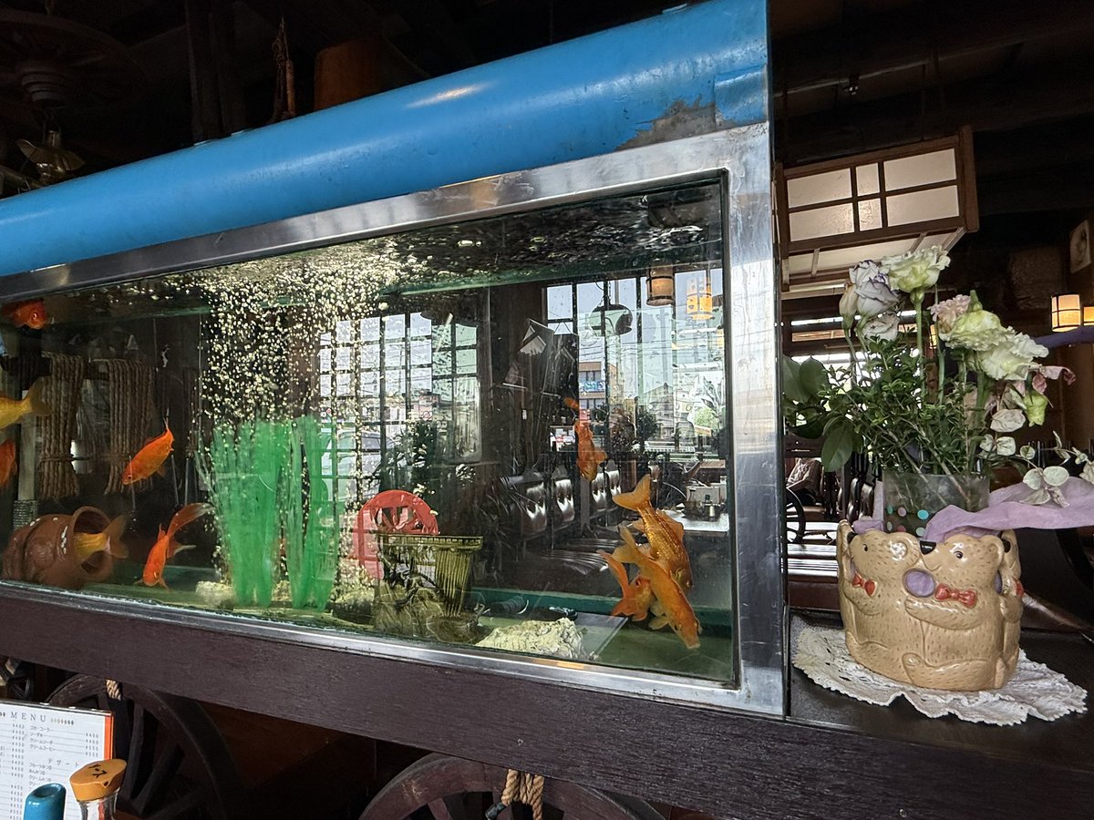 seigetu_burari's tweet photo. ガーナ、メッカ、そして日本家屋的店舗。こういう無茶苦茶な店は少なくなった https://t.co/QRutULrcSM