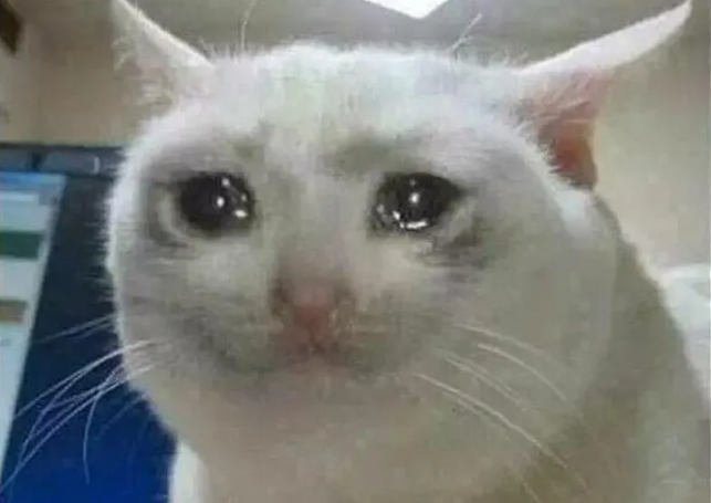 maingancho's tweet photo. Eu fazendo nuzlocke, o Growlithe tinha Roar e eu não sabia https://t.co/Qk9zJaHADg