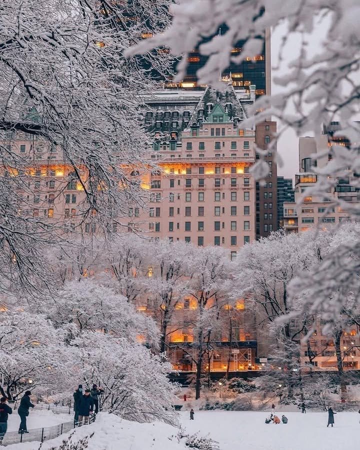 Business660608's tweet photo. Central park New York in winter ☃️❄️ https://t.co/vYWqehEjr5
