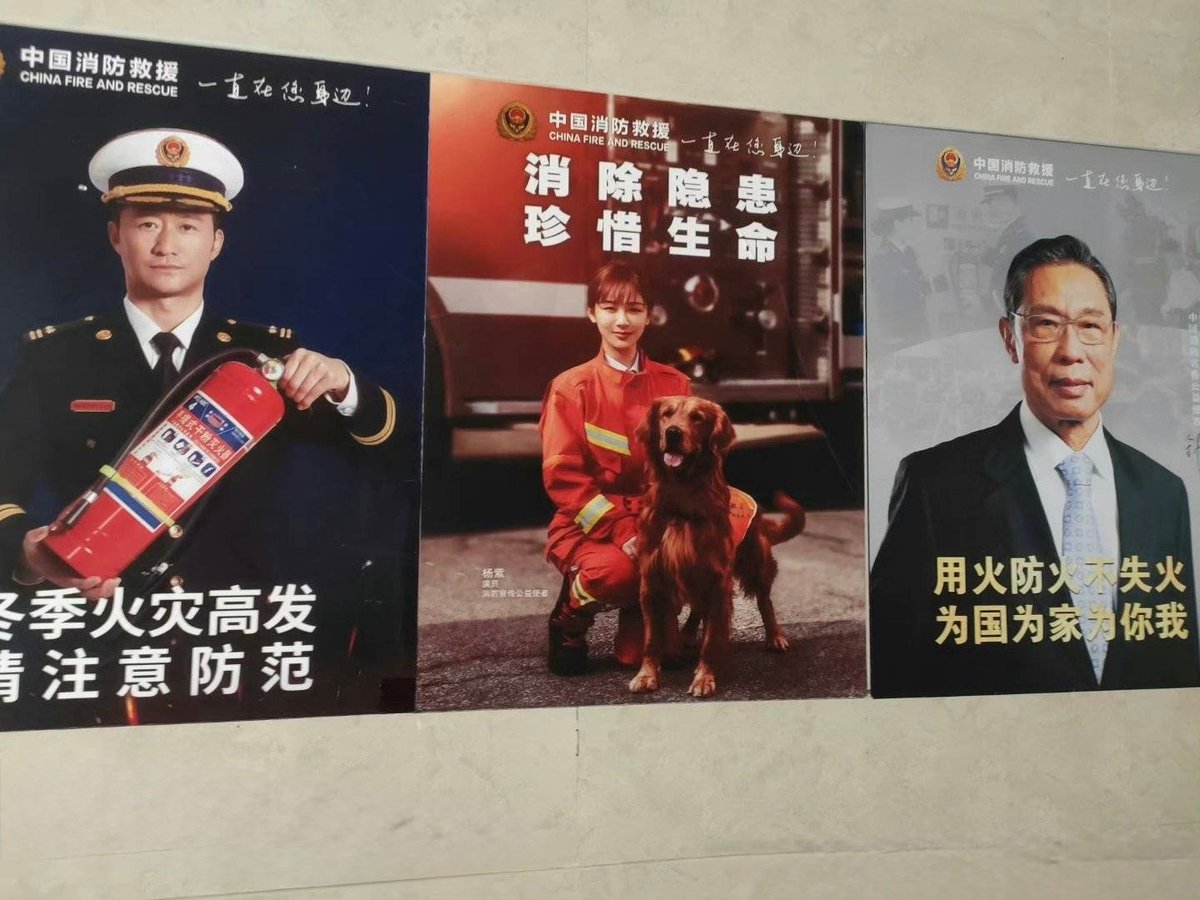 AicheMoral12450's tweet photo. Popular knowledge. #yangzi was nominated in HUNDRED Flower Awards(one of the 3 major awards for film industry) for Best supporting actress in the movie #TheBravest and received the highest dividends from Government as Ambassador for China Fire And Rescue alongside National Actors https://t.co/Aqy0ftDaYy