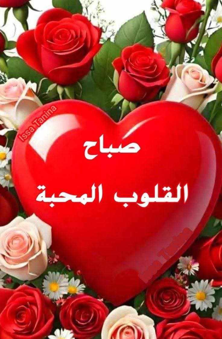 MsbahJ27611's tweet photo. @g1aoin https://t.co/7sQZL5fW5T