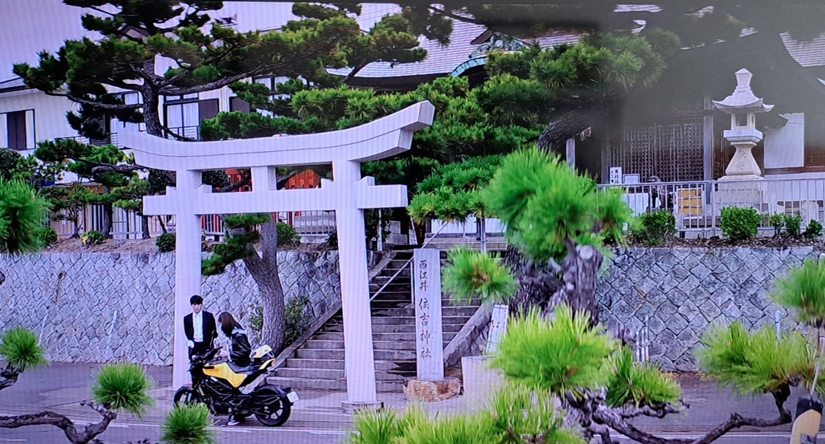 hyuk20190110's tweet photo. #恋は飴模様 ep2
2年前に映画iaiのロケ地巡りで行った住吉神社が！！ https://t.co/UehRGkahSZ