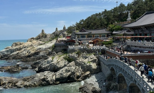 net_asobi's tweet photo. たぶんすでに有名な場所だと思いますが
もし韓国の釜山へ旅行に行かれるなら
「海東龍宮寺」をおすすめします。

お寺が海のすぐそばに建てられている、とても珍しい造りなのでお寺から眺める海の景色が本当に素晴らしいです。

家族と一緒でも、恋人と一緒でも、誰と訪れても楽しめる、旅行先としてとても良い選択肢だと思います。