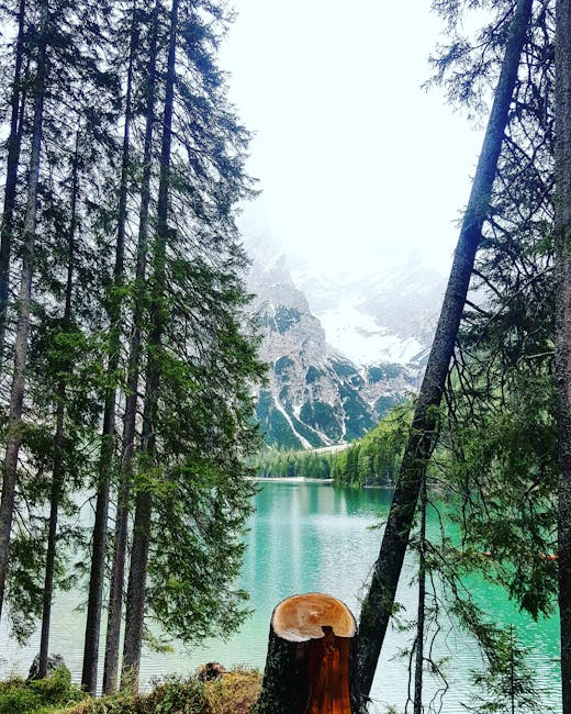 KieraSteiber's tweet photo. 🛶🥈 https://t.co/MJgQWwPTkw