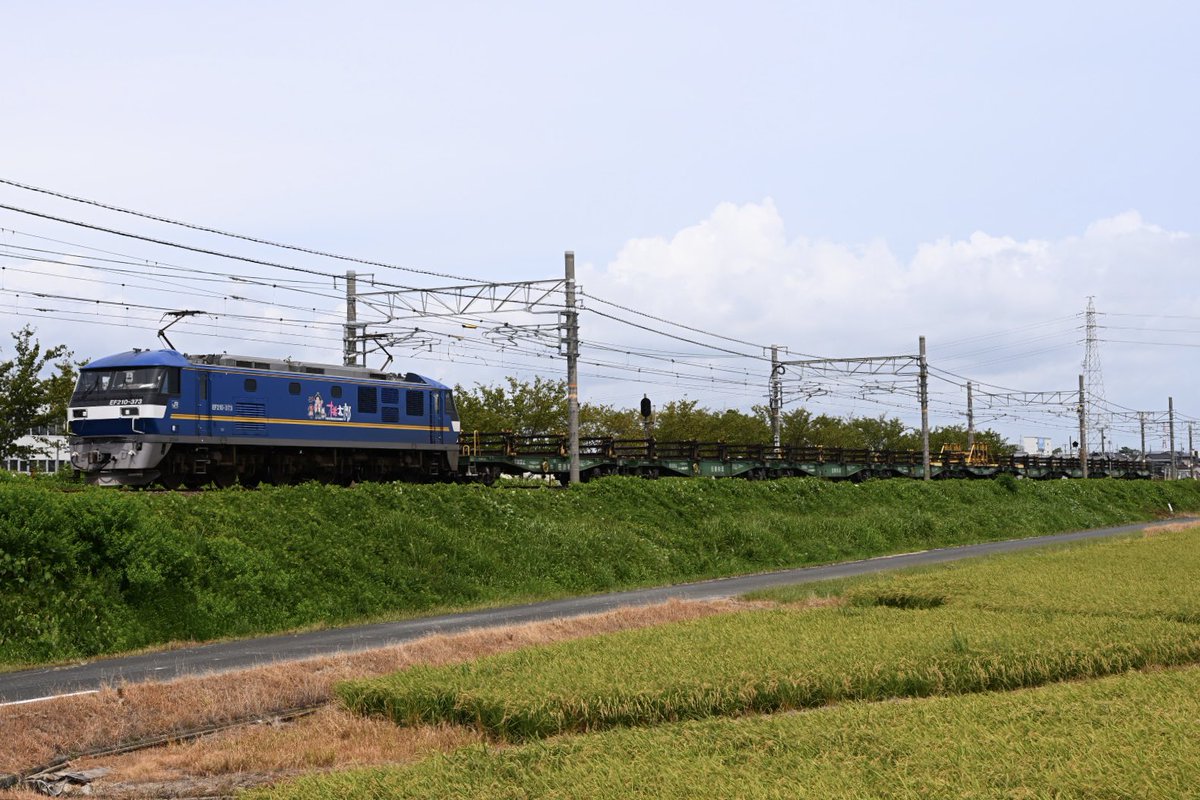 RF4sk's tweet photo. 8091レ
EF210-373+チキ9B
2026.08.09 https://t.co/YiExbDqDuo