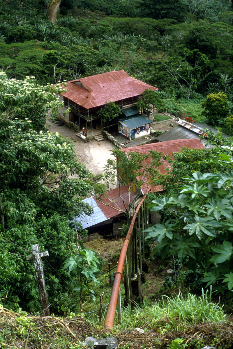 billsqueegee's tweet photo. @DreyfusJames While picking coffee with a brigade from the MInistry of Culture near Matagalpa, Nicaragua 1986 during the Contra war I woke up in the middle of the night &amp; realized I needed to make a run for el servicio. Momentary relief in pitch black, chilled by the snorts &amp; squeals below :-( https://t.co/6t1KqQSpSL