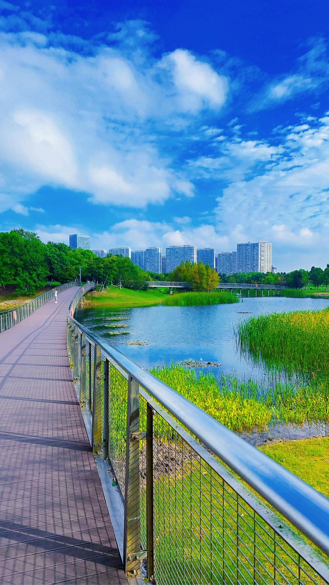 wwjd484's tweet photo. Just had the best morning walk along the city’s riverbank — fresh air, quiet sounds, and no plans to rush. Perfect little escape from the usual hustle. https://t.co/Iprdaof5mR