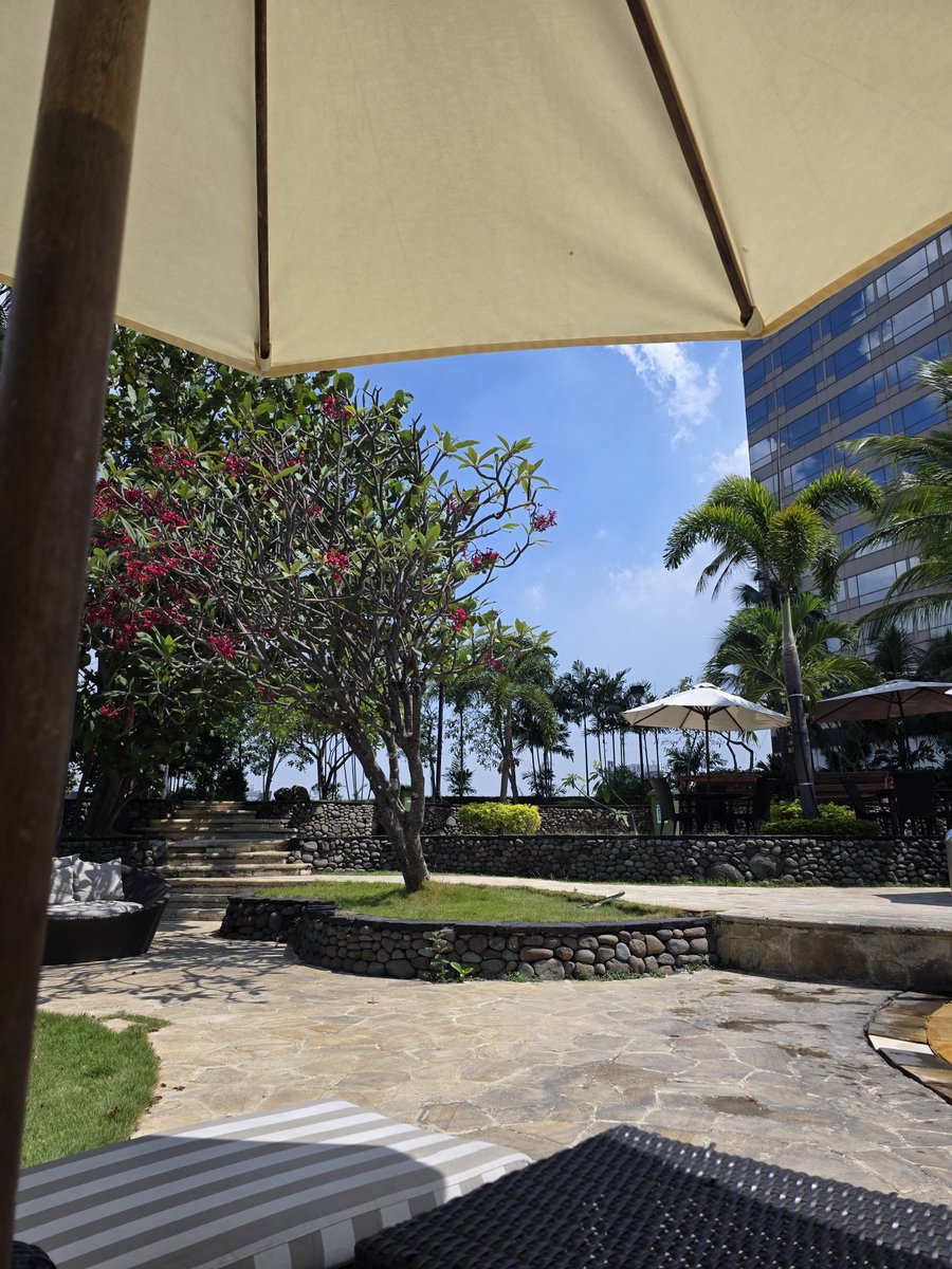 adodavinp's tweet photo. Found a GREAT hotel in the middle of the city

Siapa sangka ada ijo seijo ini ditengah kota? Way to escape the work stress

Plus they got a solid breakfast, YUM

And THE ROOM! It actually feels like stepping into a 2000s TV show. Dimana waktu itu kita cuman santai nonton TV dan belum ikutan pusing drama orang dewasa 

Definitely worth coming back! 

📍 JW Marriott, Surabaya

@JWMarriottSby @MarriottBonvoy