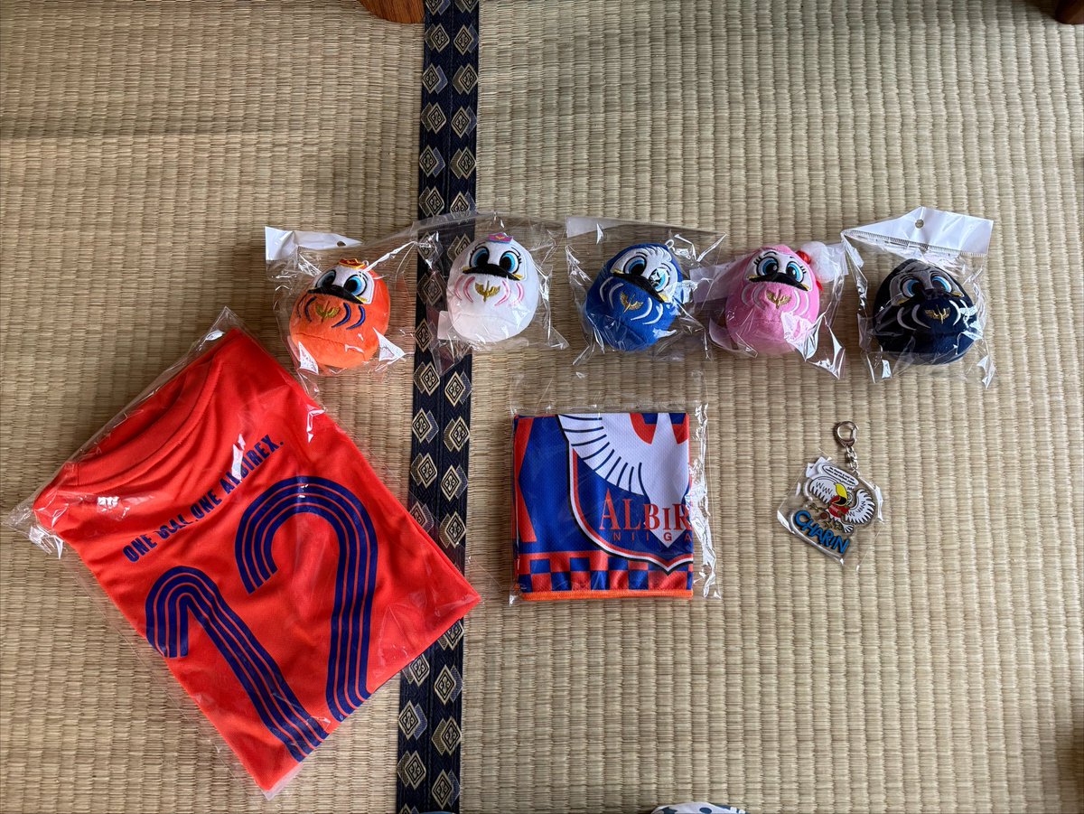 ansmsk's tweet photo. オレガ行ってきました✨️
前回買ったのと合わせて安定の爆買い😂
ネームキーホルダーもう売り切れててビックリ😳安定に推しは出ません🥹
でも、前田選手、みひろくん、松岡くん出て嬉しかった☺️
あと、バウマンのキーホルダーカッコよすぎないかい？🫶
ダルマはファミリー勢揃いです🤣 https://t.co/6DDSIwhgmu