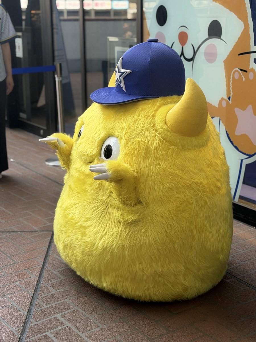 kbng_zatta's tweet photo. もちもちチャピー🟡 https://t.co/cJIq0R8moe