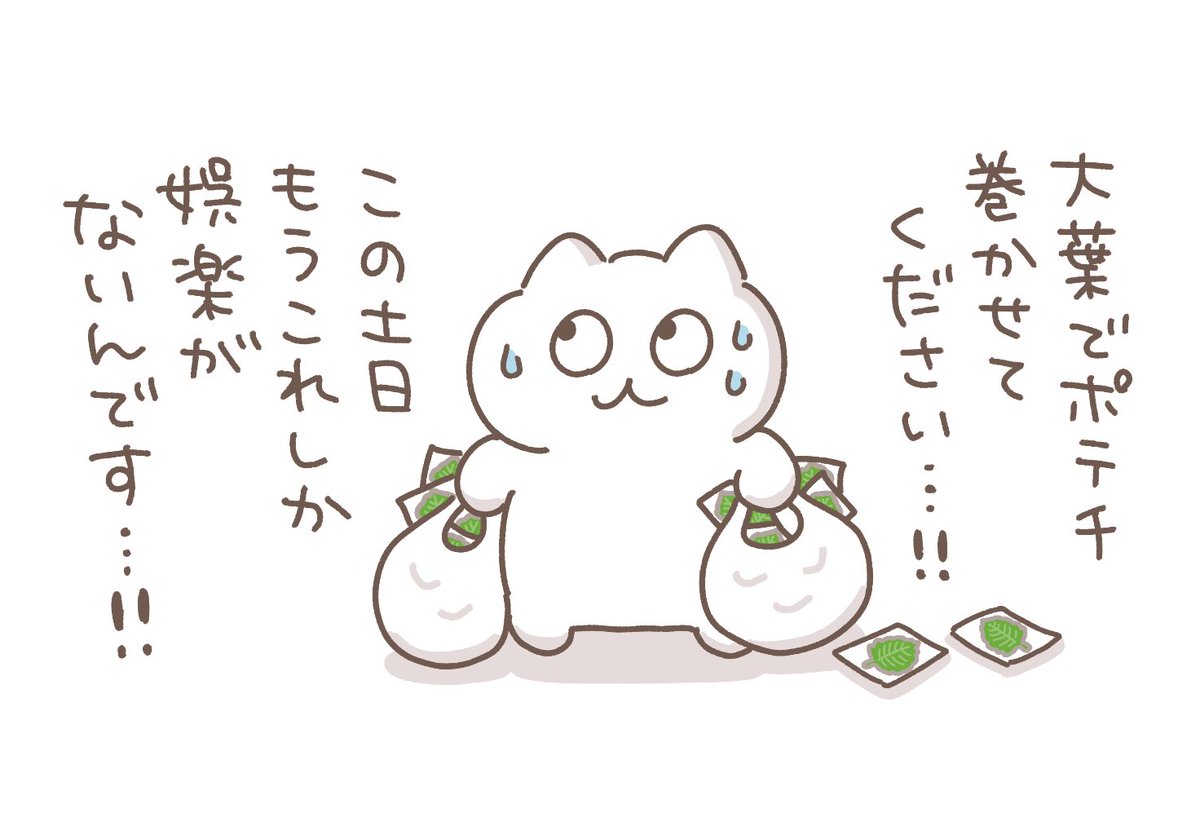 mozuku_zqu's tweet photo. https://t.co/ejGgEaRaLk