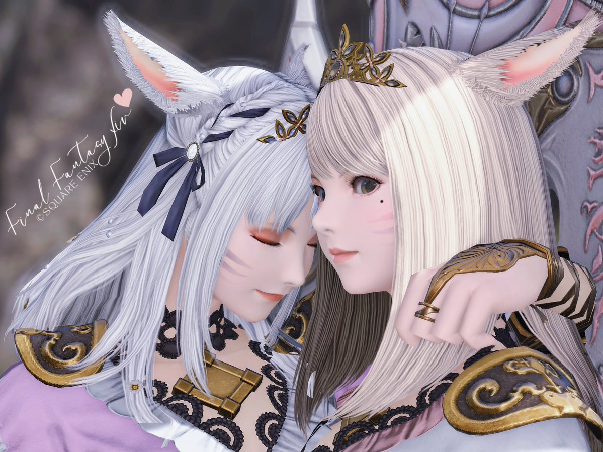 ̗̀❣️🐈‍⬛​ᰔ🐈❣️ ̖́-