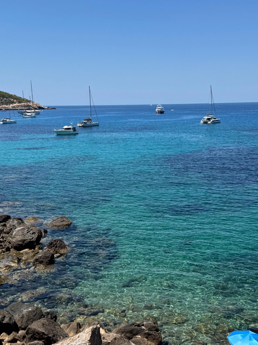 Celmss's tweet photo. 🥂🦐🎉🪩
EIVISSA https://t.co/WUg5KHUl7B