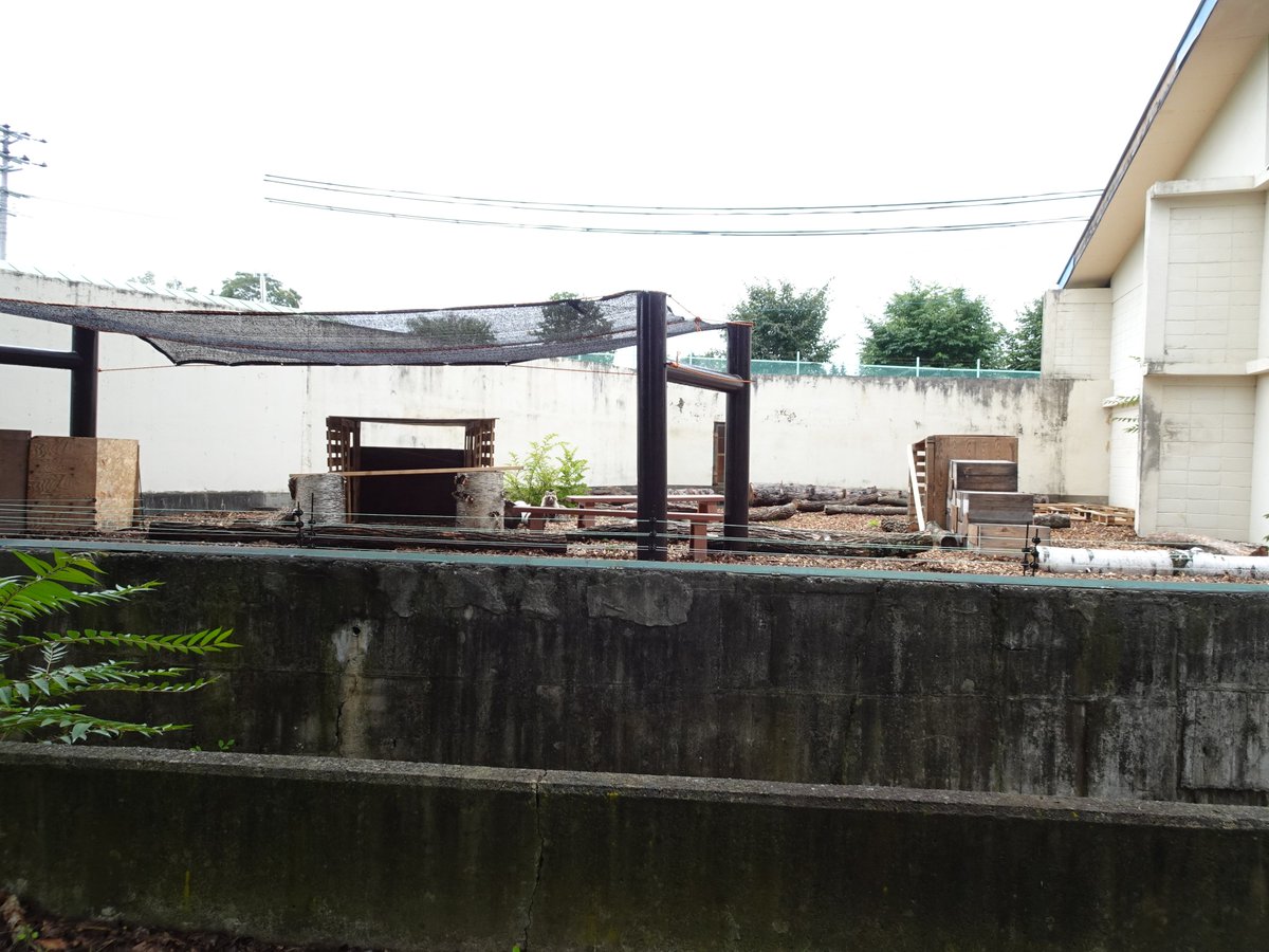 200kemono's tweet photo. エゾタヌキ舎。旧ゾウ舎を再利用。元の住人とサイズ差があるので少々見つけにくい時もあるが、野生の距離感といえばそれらしくも見えてくる
北海道、おびひろ動物園より https://t.co/xTT0JUpqYB