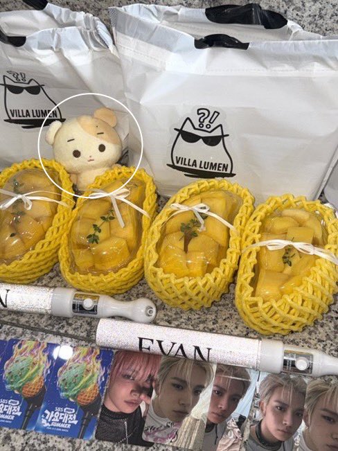 kirarijay's tweet photo. it looks so much like a hamster like atp it feels like heeseung had an enchin character &amp; made enchins with the rest of enhypen but his didn’t get released out, that’s literally a hamster no one can convince me otherwise lol😭 https://t.co/bYmpVFRrmv