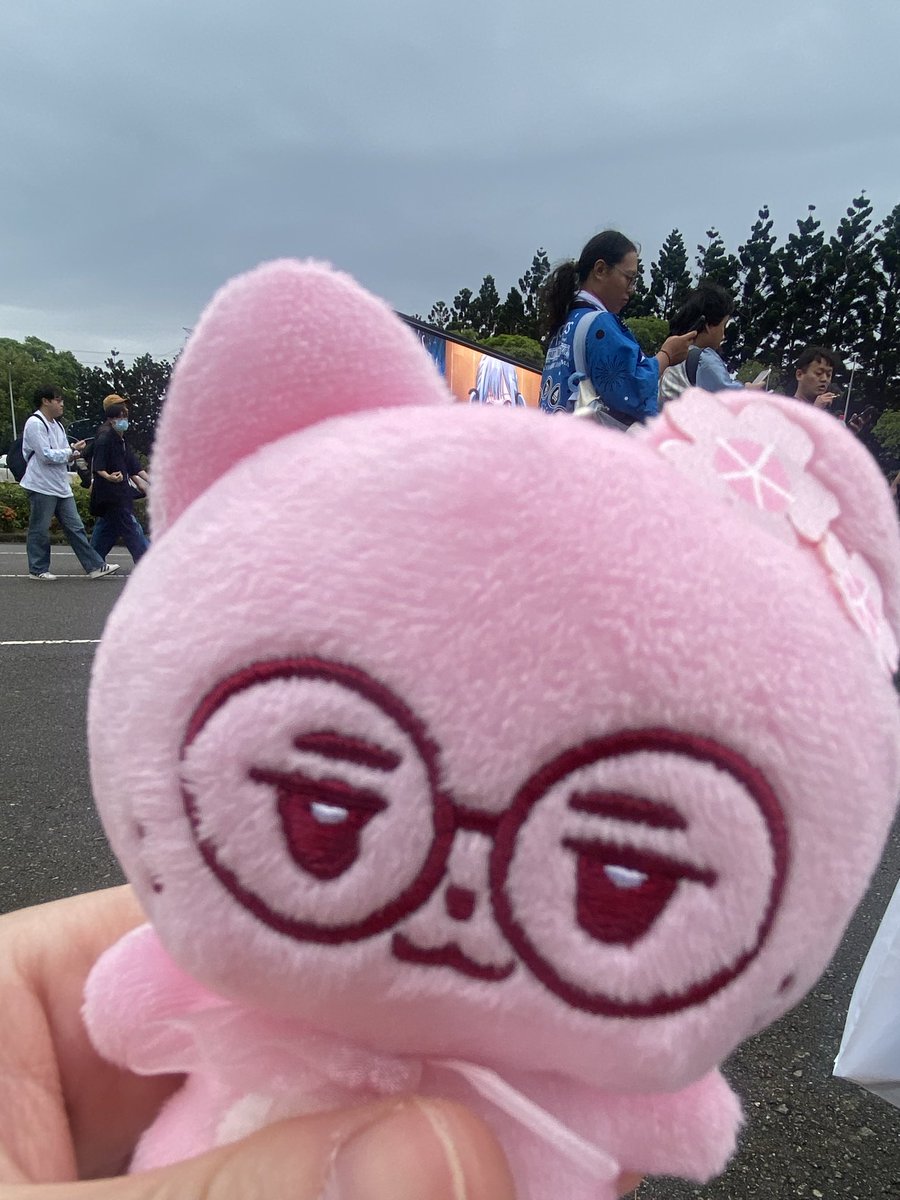 bearpool945's tweet photo. ave mujica day2
我今天終於記得幫赫咪寶拍照
李子大人太神啦～～ https://t.co/tXthyRrhV5