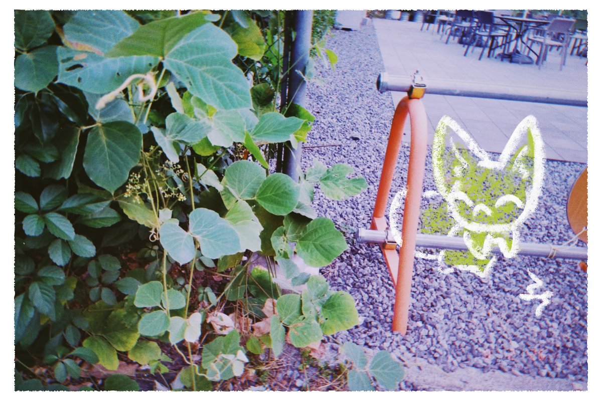 kitsnenstik's tweet photo. こっち側 https://t.co/FecoSuhzXn