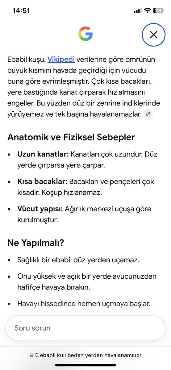Buruksss1's tweet photo. @muammer_ulker @tepki_tr https://t.co/rCK47IPNSJ
