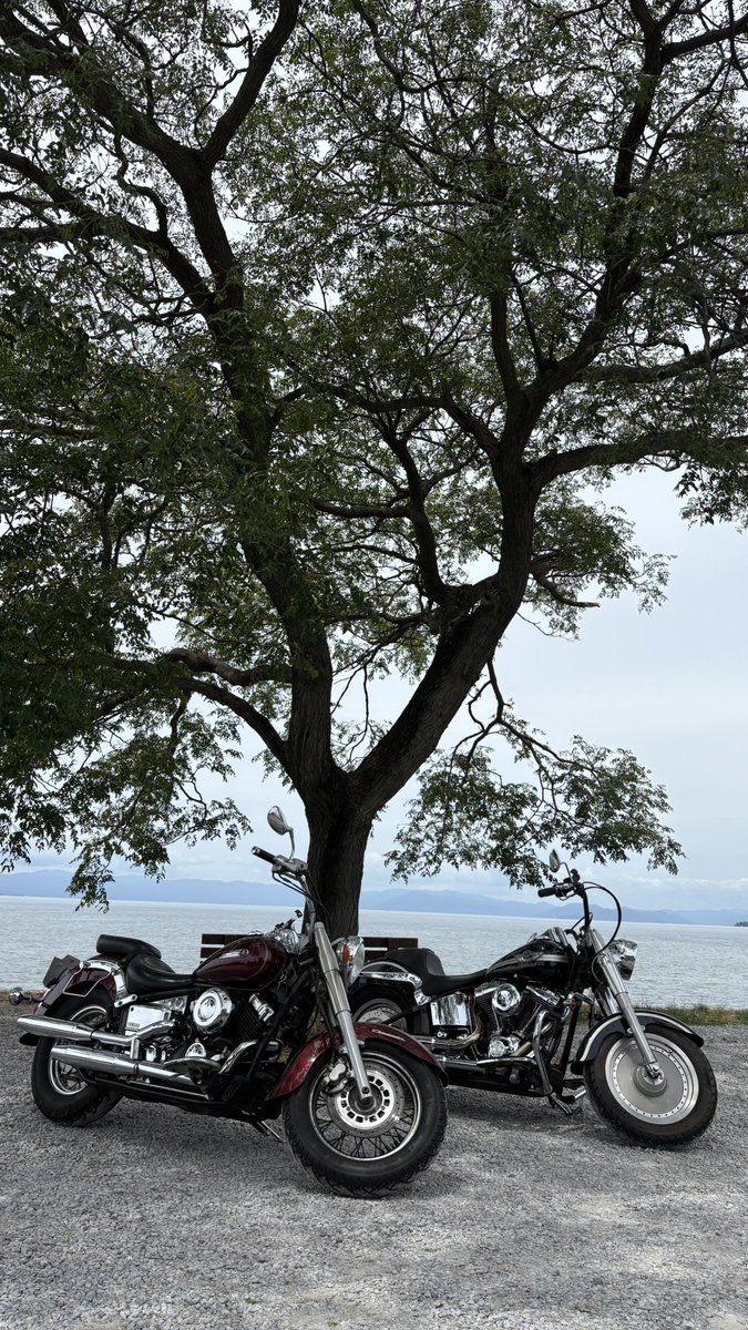 Jagax_'s tweet photo. ツーリング行った場所同じだけど今日は友達と🏍️ https://t.co/v7rUZGBgdG