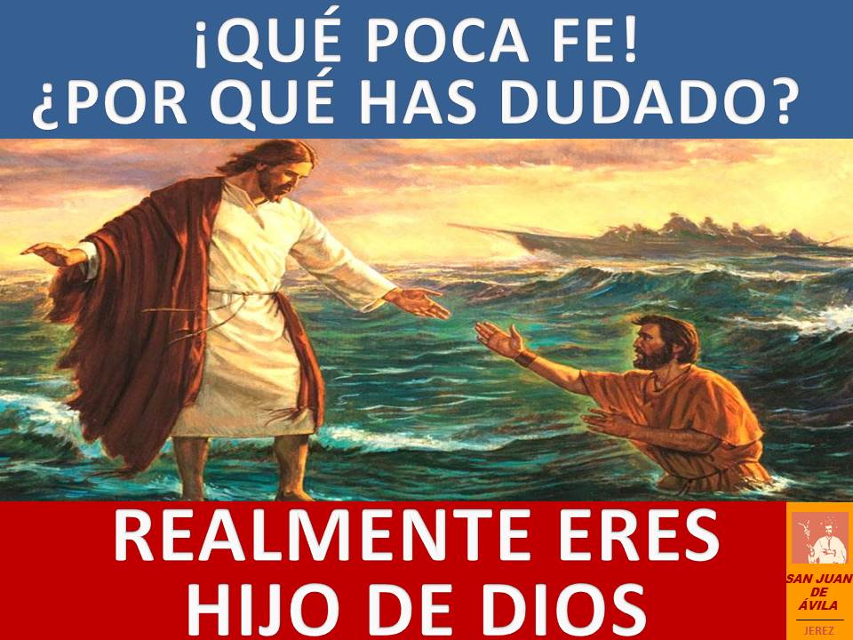 AP_SJA's tweet photo. ✝️ 19º Domingo Tiempo Ordinario

📖 «Ánimo, soy yo, no tengáis miedo»

«Señor, si eres tú, mándame ir a ti sobre el agua»

«Ven»

«Señor, sálvame»

«Hombre de poca fe! ¿Por qué has dudado?»

«Realmente eres Hijo de Dios»

⛪️ ¡Feliz Domingo!

https://t.co/mitMRTRRuP https://t.co/iM0U37ilZv