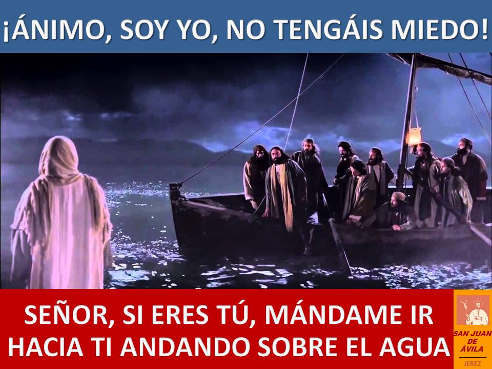 AP_SJA's tweet photo. ✝️ 19º Domingo Tiempo Ordinario

📖 «Ánimo, soy yo, no tengáis miedo»

«Señor, si eres tú, mándame ir a ti sobre el agua»

«Ven»

«Señor, sálvame»

«Hombre de poca fe! ¿Por qué has dudado?»

«Realmente eres Hijo de Dios»

⛪️ ¡Feliz Domingo!

https://t.co/mitMRTRRuP https://t.co/iM0U37ilZv