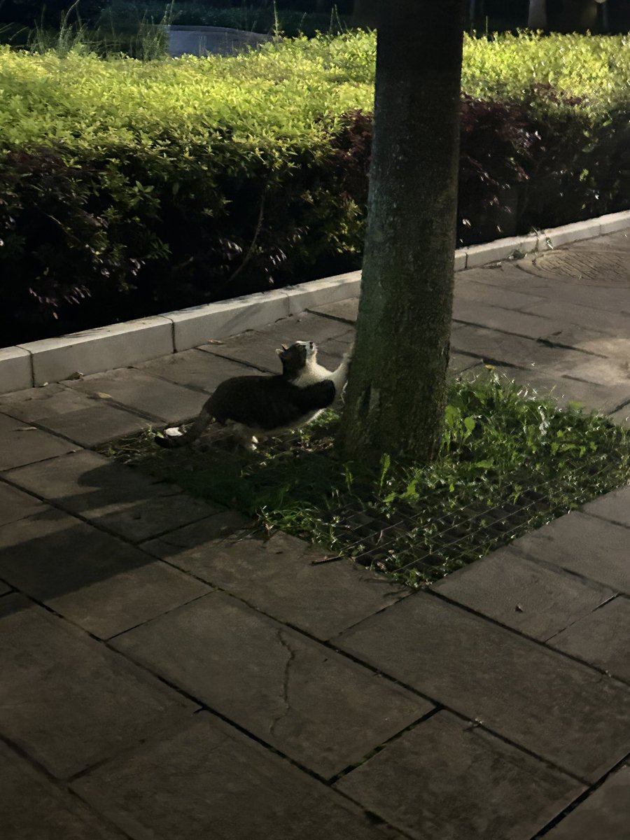 oioio319's tweet photo. 咪 https://t.co/L9D4pcNLXR