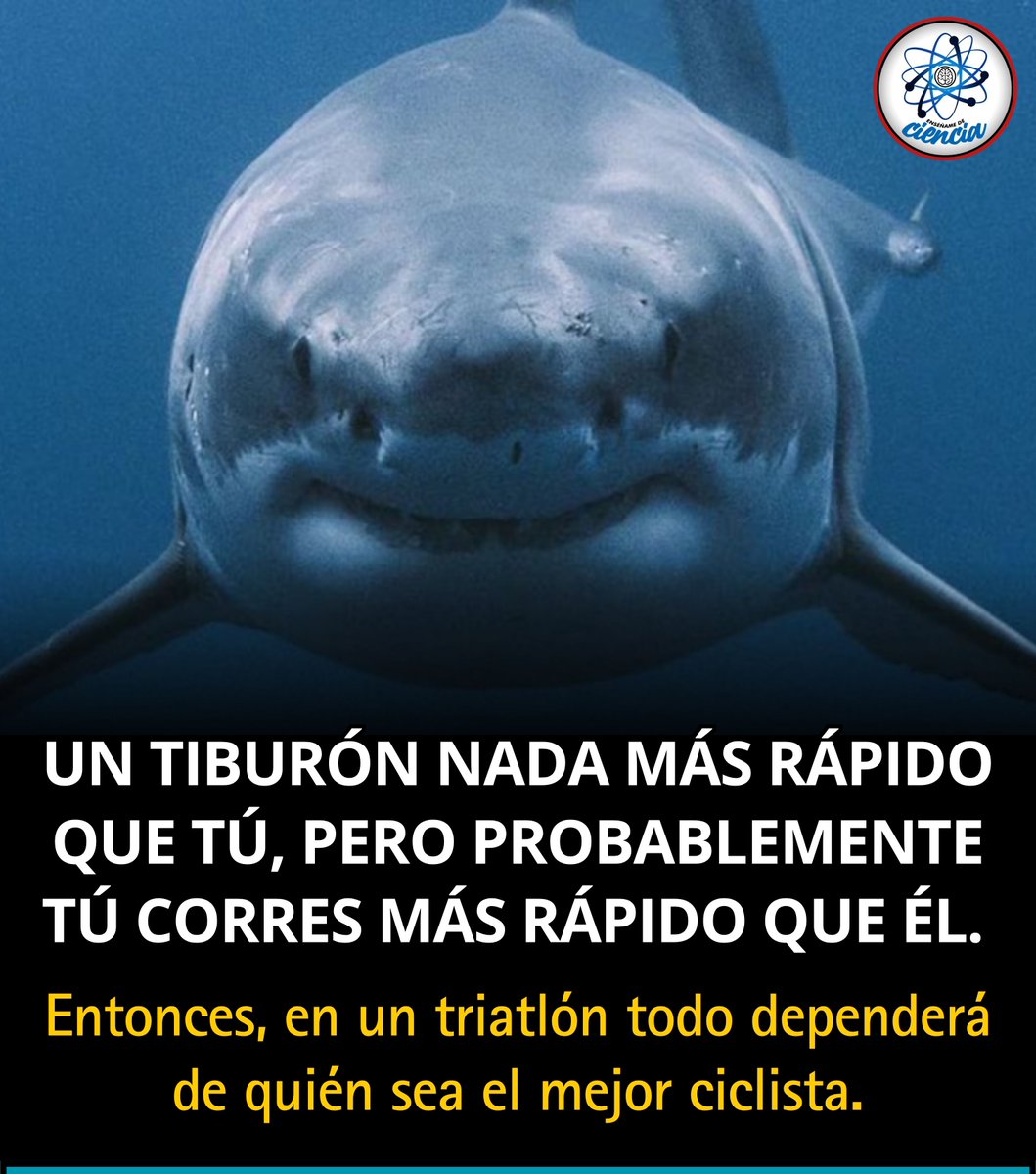 EnsedeCiencia's tweet photo. 🧐 https://t.co/wR0vAhY2JK