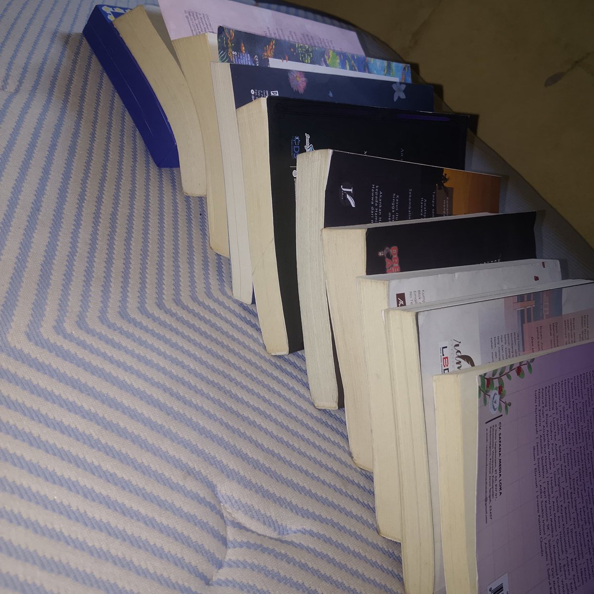 sassygantari's tweet photo. Buku bukan ajang pembuktian siapa yang paling intelektual. Selera bacaan boleh berbeda, tapi jangan sampai kebiasaan membaca malah hilang karena takut dihakimi.

happy national book lovers day🧚🏼‍♀️📖 https://t.co/KO0dwrn9cK