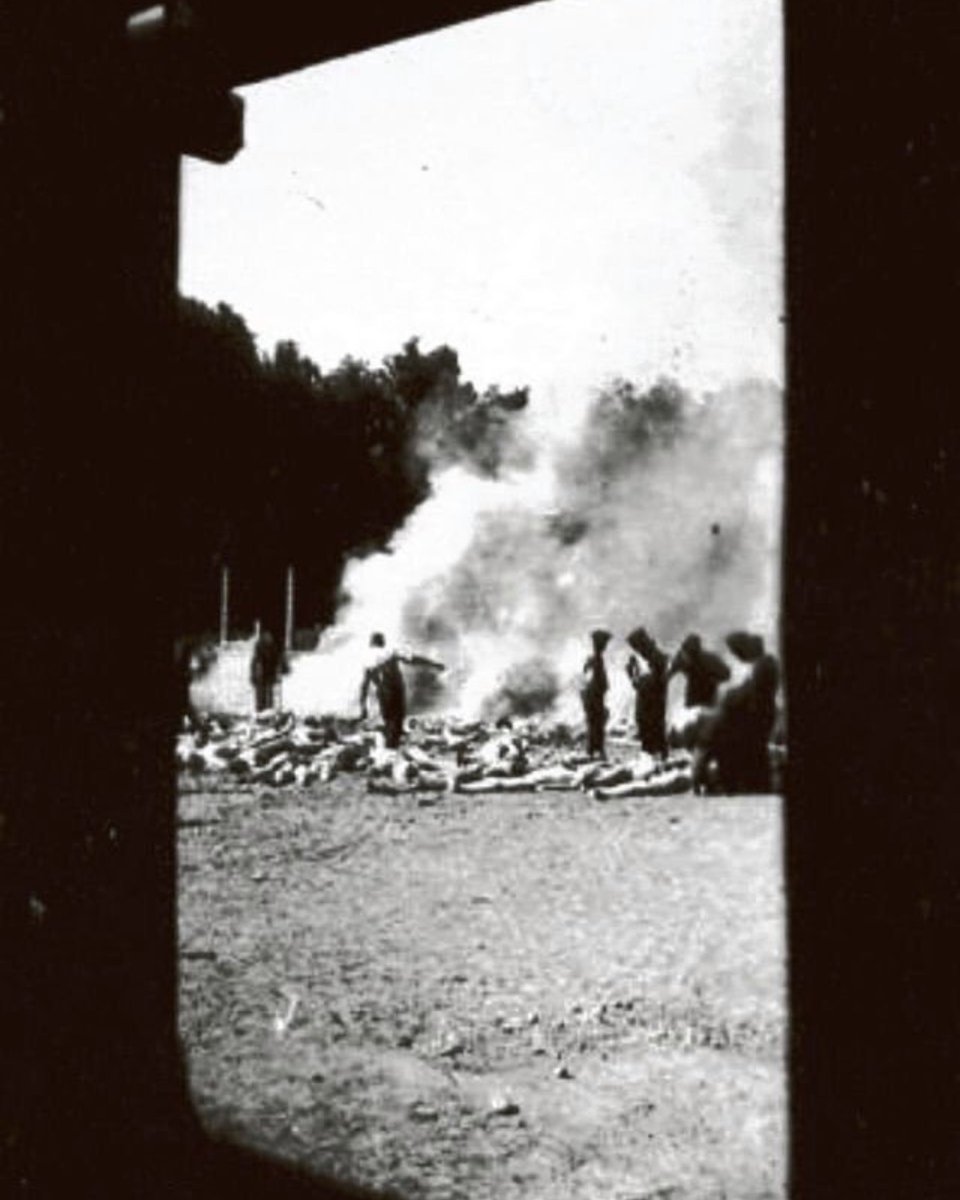 AuschwitzMuseum's tweet photo. 9 August 1944 | Two Greek Jewish prisoners of the Sonderkommando attempted to escape while being forced to transport the ashes of people murdered at Auschwitz to the Vistula River.

One of them was Albertos "Alex" Errera, born on 15 January 1913, a Greek Jewish naval officer, Auschwitz prisoner no. 182552. 

As a member of the resistance in the Sonderkommando, in early August 1944 Errera took the clandestine photographs near crematorium V that became some of the most extraordinary visual evidence of the extermination process at Auschwitz II-Birkenau. They show, among other things, bodies of murdered Jews being burned in open-air pits and women shortly before they were murdered in a gas chamber.

On 9 August, the two prisoners attacked their guards and tried to reach the other bank of the Vistula. Errera apparently succeeded in crossing the river, but the escape ultimately failed. He was fatally shot during the pursuit.

Errera was 31 years old.

Learn about the history of Sonderkommando – a special working group, composed mainly of Jewish prisoners, who were forced by the Germans to operate gas chambers, burning pits, and crematoria.

Go to the lesson: https://t.co/U2nTUiZoAr

Our podcast about the fate of Sonderkommando prisoners.
https://t.co/APnvo5nAAF