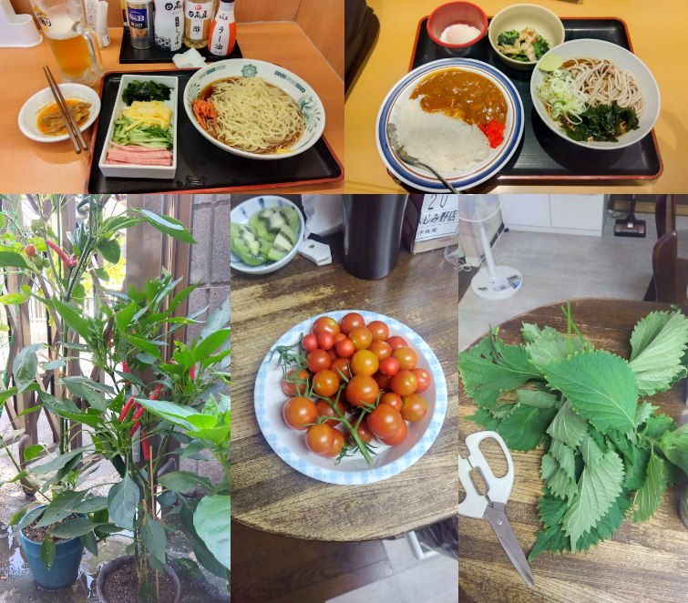 danna123jp's tweet photo. 今週もお疲れ様でした。ι(´Д｀υ)ｱﾂｨｰ
・日高屋だと冷やし中華ではなく冷やし麺(今頃気付く)
・久しぶりの富士そば朝定
・唐辛子がイイ色
・ミニトマト収獲
・忘れていた大葉を収獲
#冷やし麺 #富士そば #唐辛子 #ミニトマト #大葉 https://t.co/jNuUzVN714