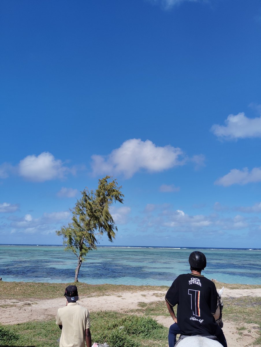 K6796now's tweet photo. モーリシャス島の南端・リアンベルの海岸で馬乗り。天気も良くて景色は掛け値なく最高。午前中は海水浴客も少ないらしく気を使わず走れる🏇 https://t.co/rL7aNNDbnb