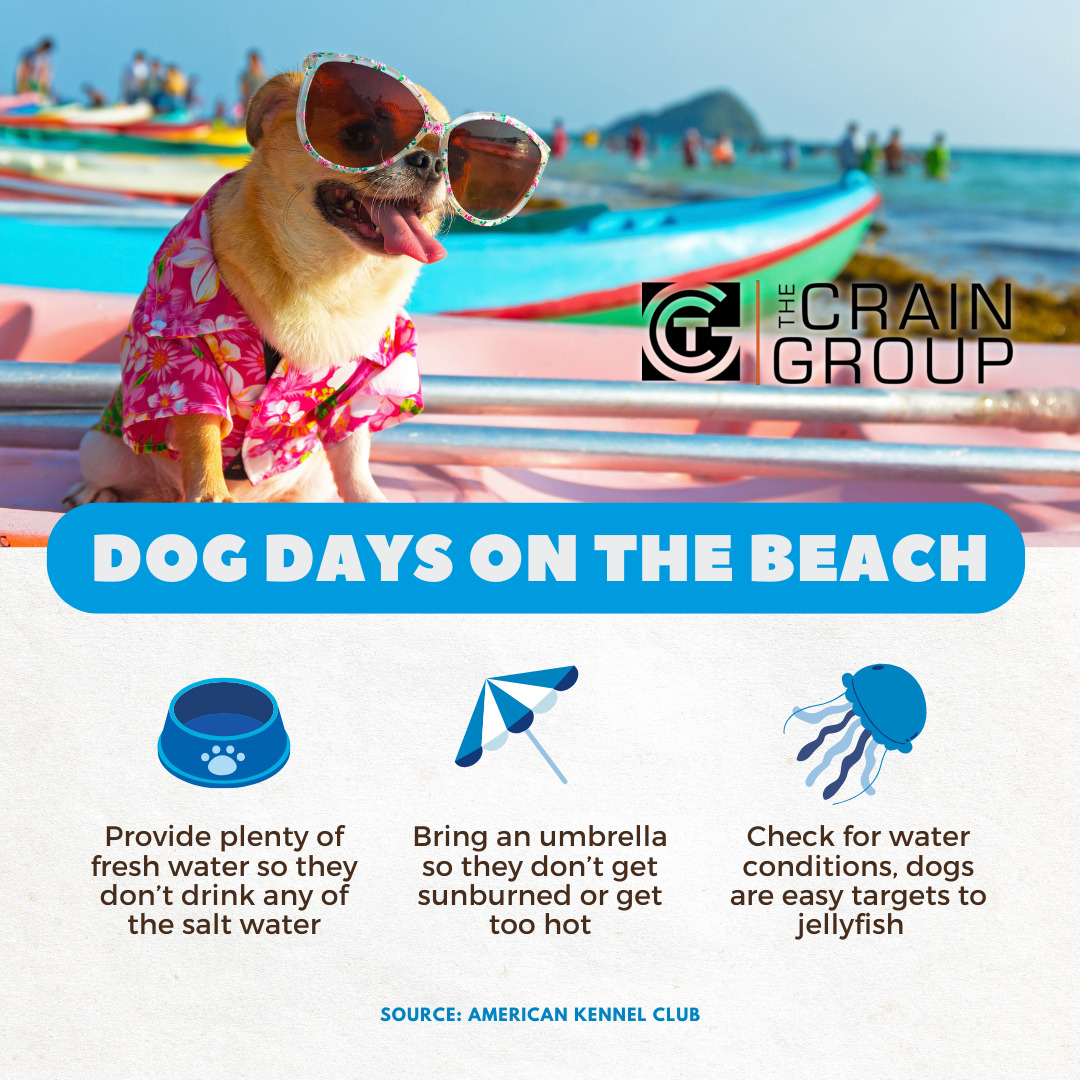 CrainGroup's tweet photo. Beach days should be a vacation for all! Use these tips the next time you have a dog day on the beach!

#pets #summer

Contact us at 865-856-1019 or michael@thecraingroup.com

Visit our website at https://t.co/4yHCiLeIu9 https://t.co/5r8yxGoKUs