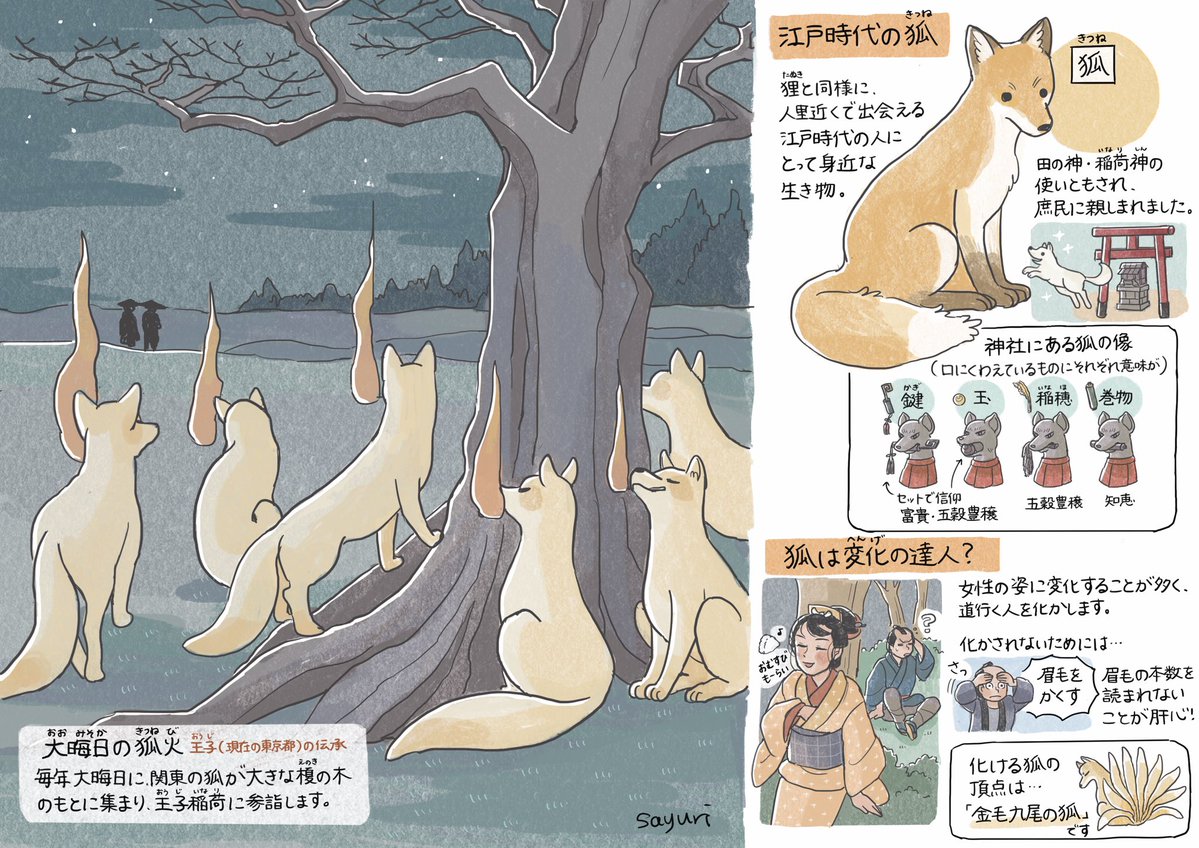 chiyochiyo_syr's tweet photo. 江戸時代の狐（きつね）
よく狐火が目撃されたそうです https://t.co/rmqZspnBDr