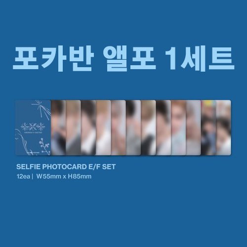 sellacc02's tweet photo. 투바투 일본 앨범 세츠나하나비 포카 양도

위버스재팬 예판특전(야광 포카) 1세트 3.4
포카반 앨포 1세트(12장) 2.6
솔로반 앨포 1세트(20장) 4.2

해배비 포함 국배비 별도 

연준 수빈 범규 태현 휴닝카이 setsuna hanabi japan txt 세츠나 하나비 https://t.co/DuUMVyAgXy