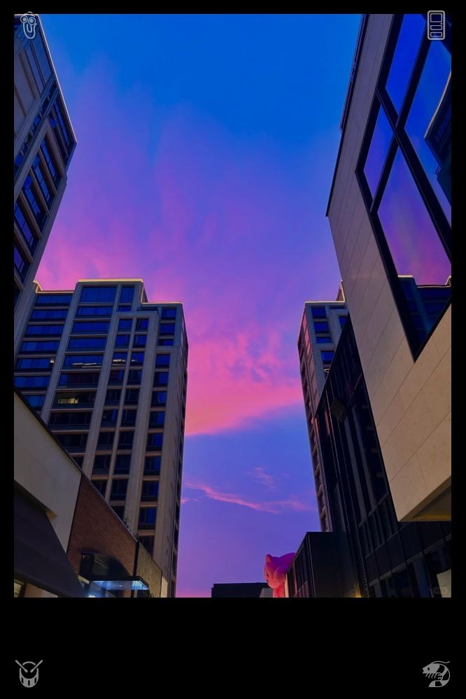 angga_prada's tweet photo. The delicate sweetness of lychee captures the quiet grace of summer, pristine and refined. Its translucent pulp conceals a subtle, understated sugariness, making it the season's most tender treat. 🦂 Frozen Raspberries The raspberries are at their peak ripeness. https://t.co/p5n50goBr3