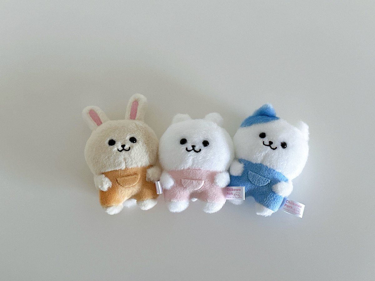 1mdStVtqIi34443's tweet photo. なんとかバニア𓂃𓈒𓏸︎︎︎︎🧸 https://t.co/5ecYaF1ae5